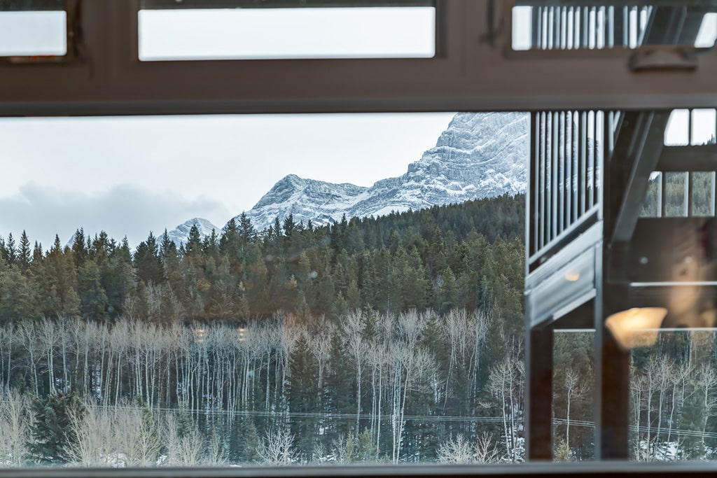pine trees view vacation property