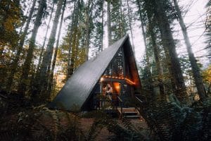 Airbnb property in the woods