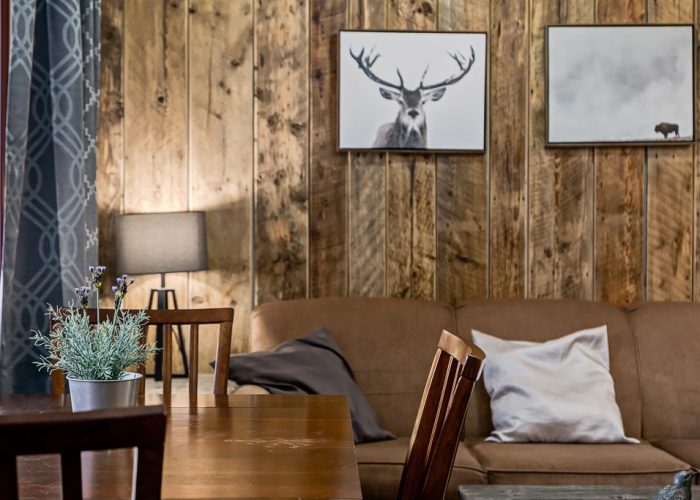 Dead Man’s Flats Mountain Condo Rental