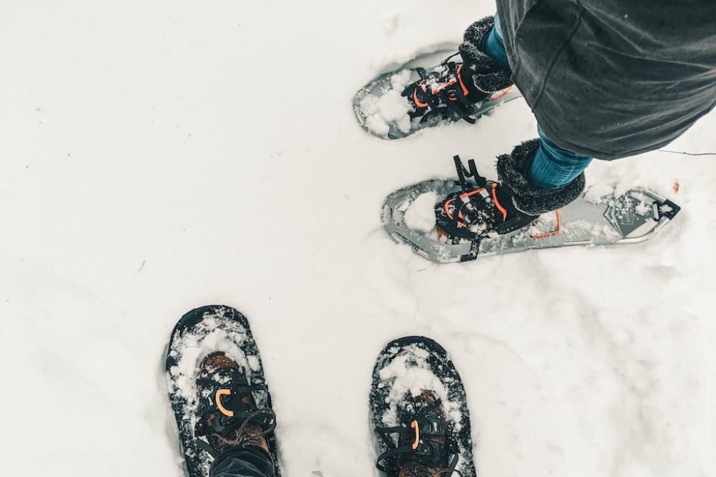 ali-kazal-W3wC21PDmC4-unsplash ali-kazal-W3wC21PDmC4-unsplash